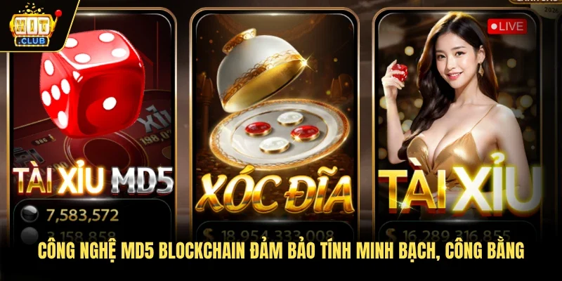 Công nghệ MD5 Blockchain đảm bảo tính minh bạch, công bằng